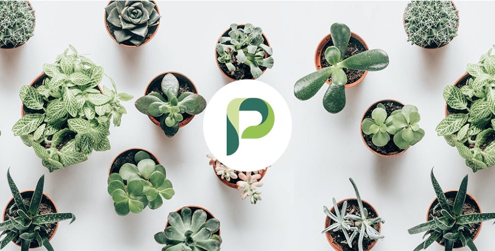 Planta - Premium Unlocked