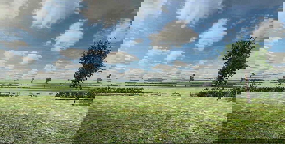 Polyfield - Unlimited Ammo
