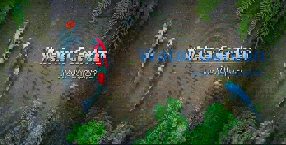 Water Garden Live Wallpaper - Unlocked